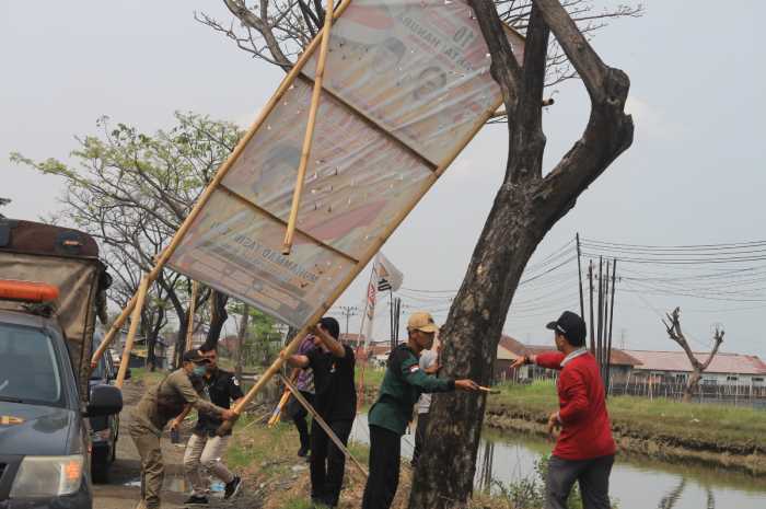 Bawaslu Demak bersama aparat gabungan Satpol PP menertibkan alat peraga kampanye di sepanjang jalan Pantura Demak. (Wahib&nbsp;Pribadi/Jawa Pos Radar Semarang)