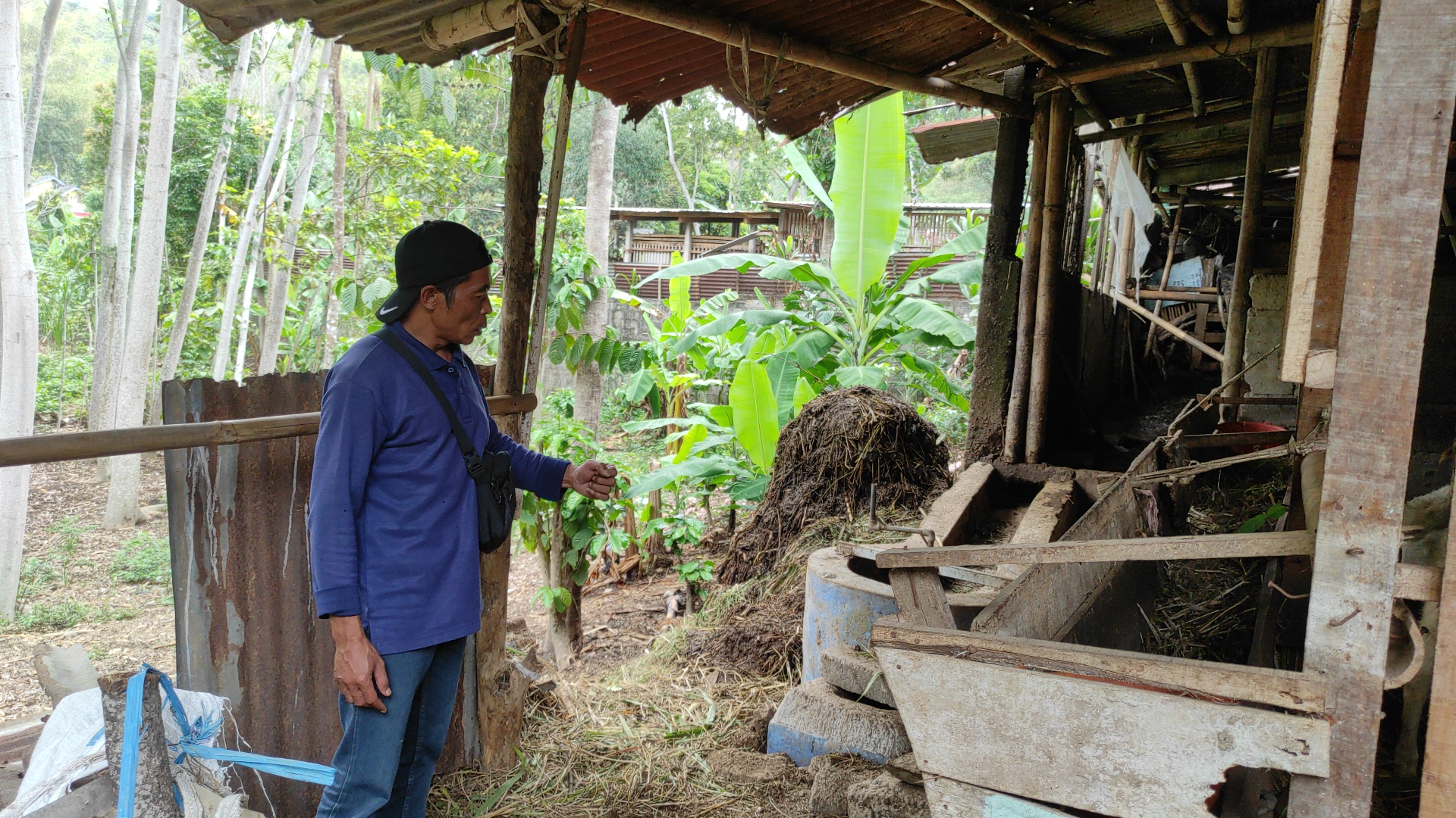 Kadus Tawang menunjukkan biodigester di dekat kandang sapi miliknya
