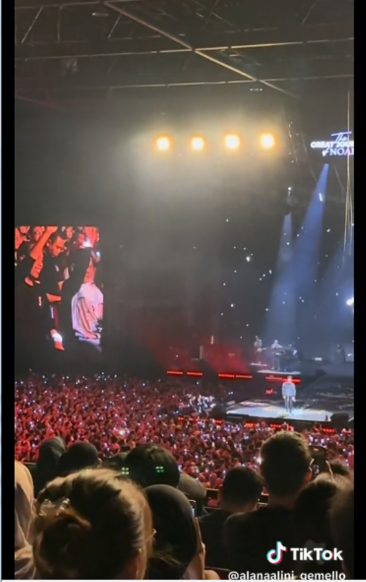 Presiden Jokowi dan Ibu Negara melambaikan tangan ketika disapa Ariel NOAH. (TikTok @alanaalini_gemello)