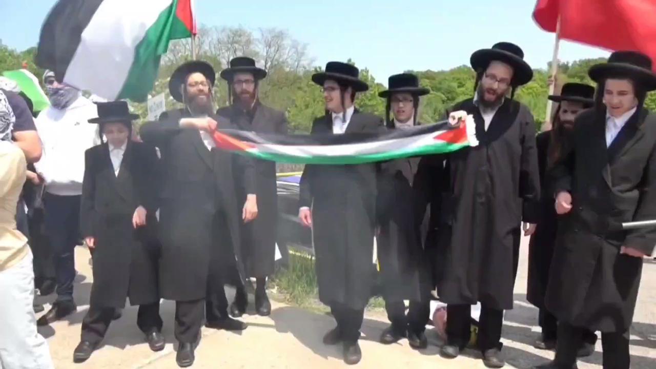 Mengenal Yahudi Torah, Sekelompok Orang Yahudi yang Getol Mendukung Palestina
