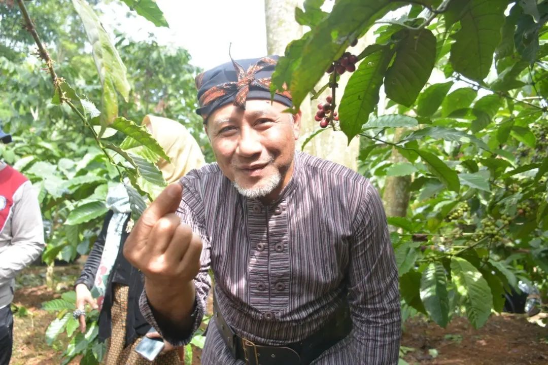 Penjabat Bupati Temanggung Hary Agung Prabowo ketika memanen kopi di Gemawang belum lama ini.
