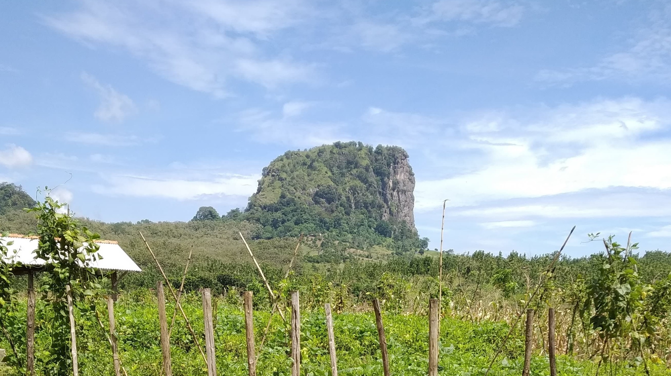 Gunung Gajah Menawarkan Keindahan dan Keunikan