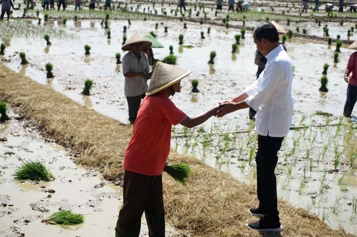 Presiden Jokowi saat menyapa petani sekaligus memberi sembako dan amplop saat kunjungan kerja di Kabupaten Pekalongan.