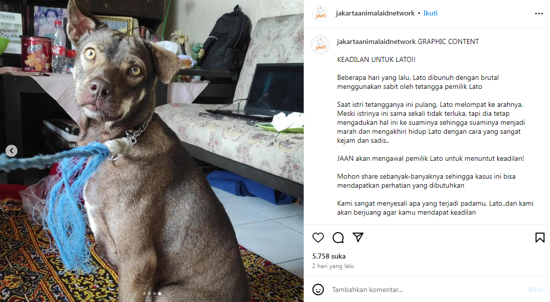 Unggahan JAAN, kawal keadilan untuk pemilik Lato, anjing peliharaan yang dibantai sadis oleh tetangga sang pemilik. (Instagram @jakartaanimalaidnetwork)
