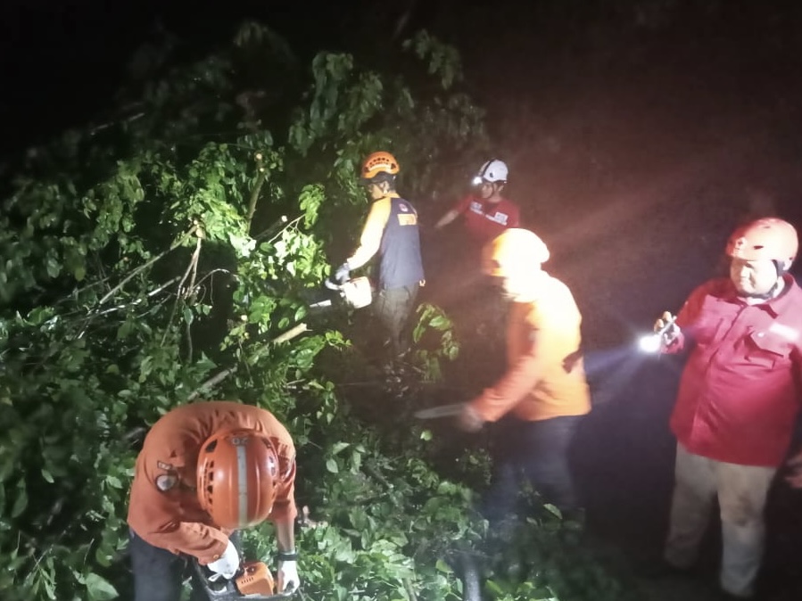 Personel BPBD Kendal saat melakukan penangnan pohon tumbang akibat hujam semalam Rabu (3/1).