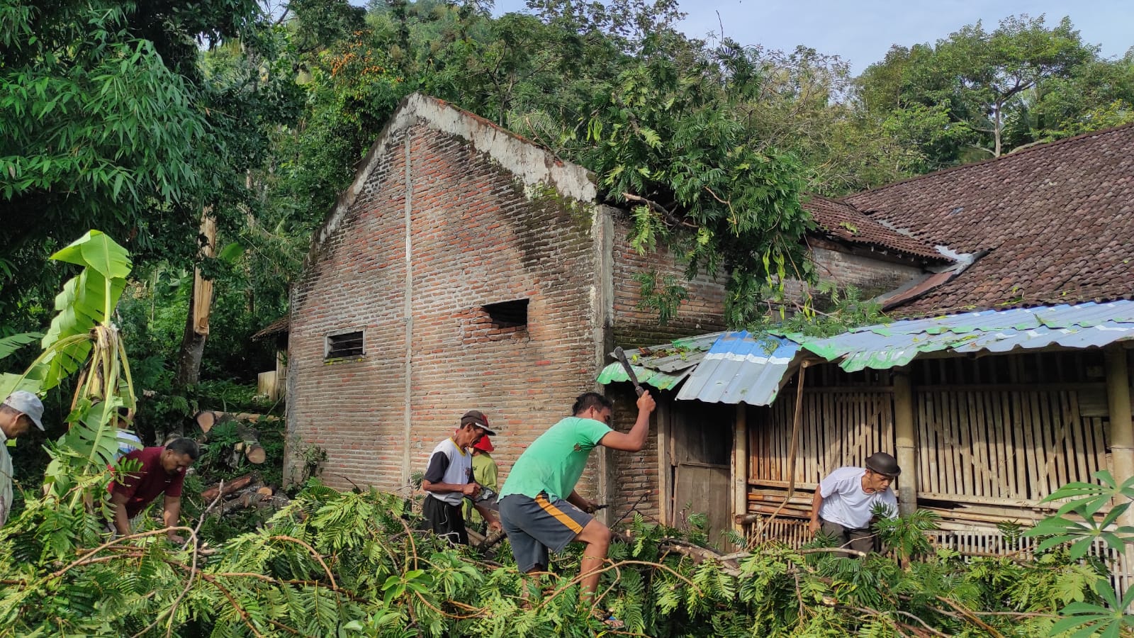 Beberapa warga ikut bekerja bakti membersihkan sisa pohon tumbang yang menimpa rumah warga
