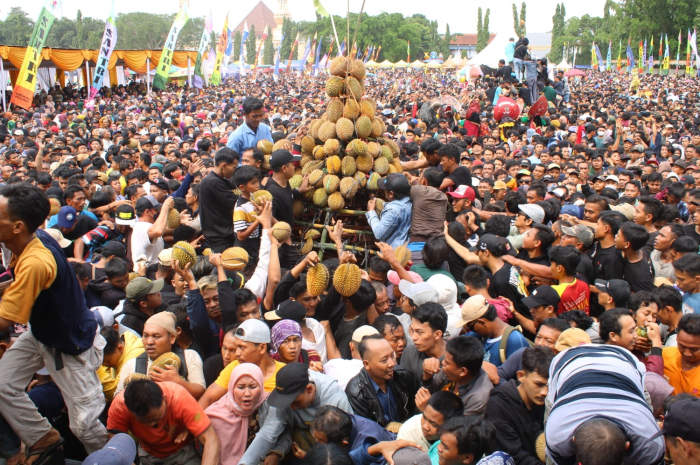 Pengunjung saat berebut gunungan durian setelah menjebol pagar pembatas, acara Festival Durian 2024, Alun-Alun Kajen, Minggu (14/1/2024). NANANG RENDI AHMAD/JAWA POS RADAR SEMARANG