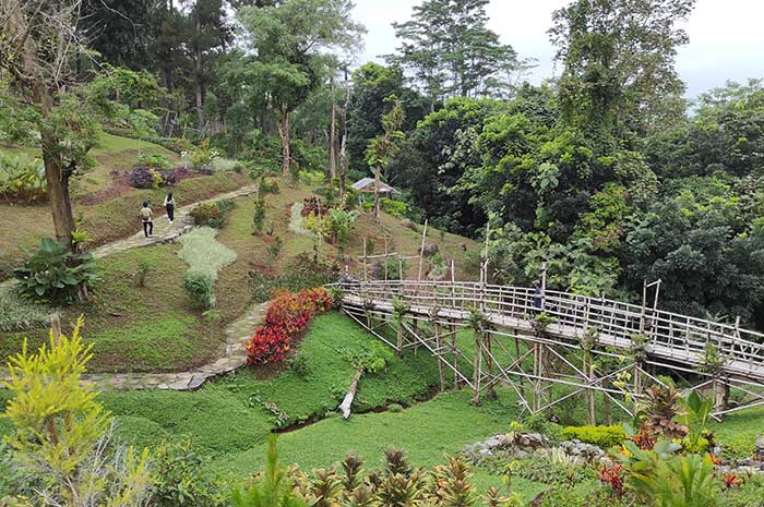 Pemandangan taman bunga di wisata Pinusia Park yang terletak di Kelurahan Kalirejo, Kecamatan Ungaran Timur. NURFAIK/JAWA POS RADAR SEMARANG