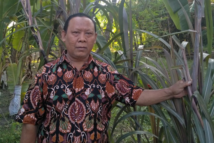 Widodo, S.Pd. Guru SMP Negeri 2 Kesesi, Kabupaten Pekalongan