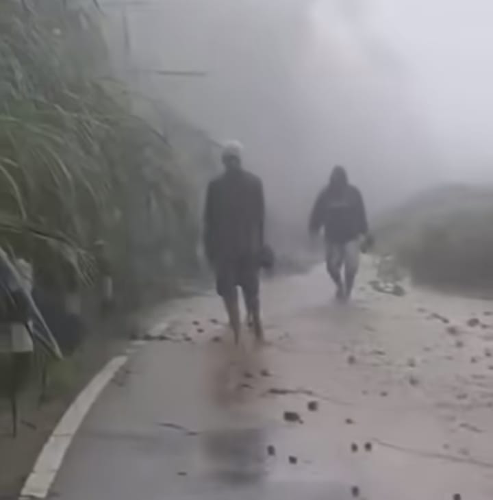 Sejumlah pohon tumbang saat turun hujan dan angin kencang terjadi di jalur Magelang - Boyolali pada Jumat, 19 Januari 2024, pagi.