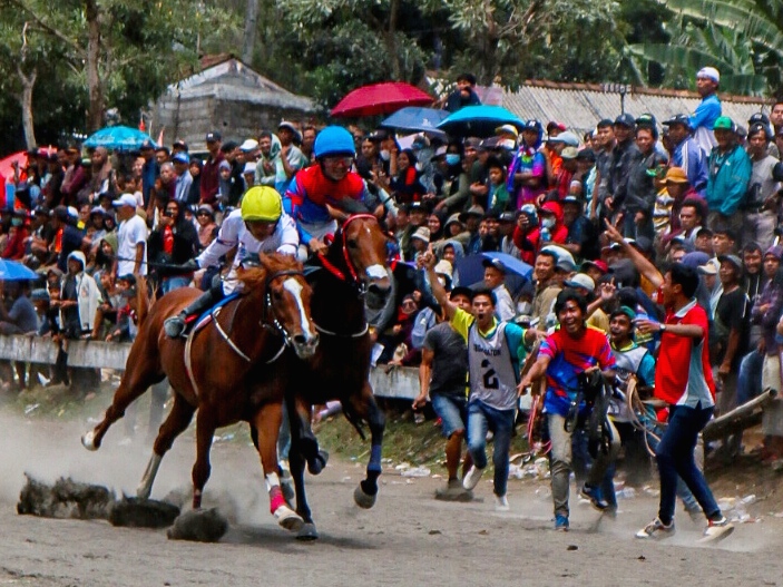 Pelaksanaan Jateng Derby 2024 yang melibatkan 220 ekor kuda dalam kompetisi