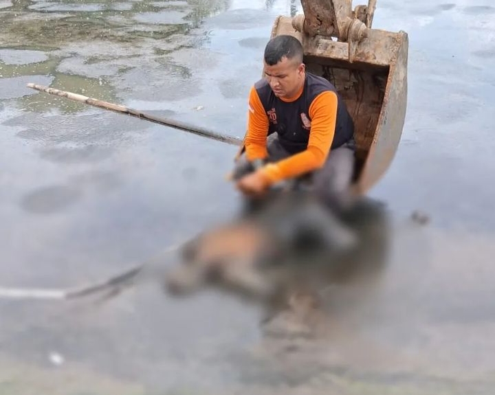 Breaking News! Mayat Laki-Laki Terapung di  Tambak Rejo Semarang. Warga Kampung Nelayan di Tambak Rejo, Kecamatan Semarang Utara, Kota Semarang, terkejut dengan penemuan mayat laki-laki.