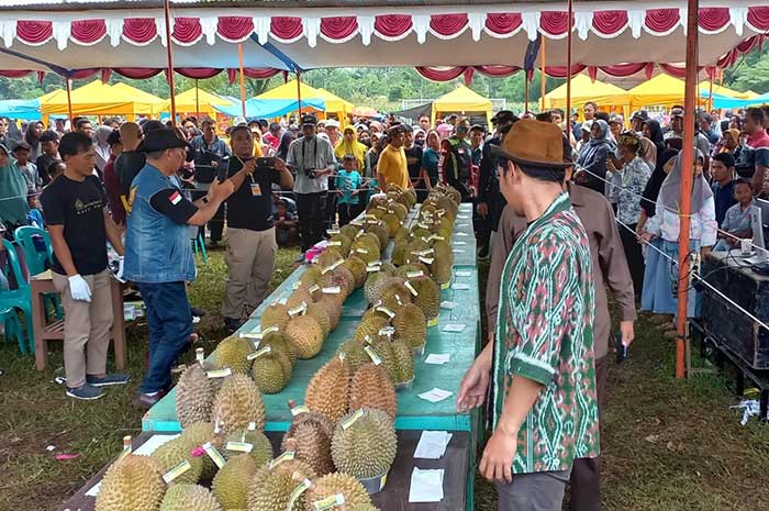 Gelaran festival durian di Desa Kebongembong.