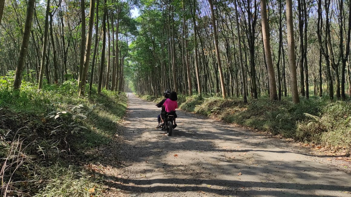 Salah satu ruas jalan di Desa Wringin Putih dengan kondisi yang tidak rata