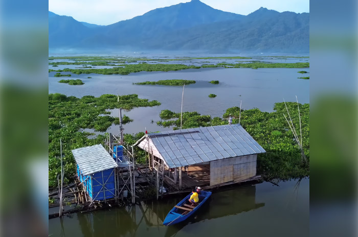 Mushola di tengah Danau Rawa Pening yang dikelilingi tumbuhan rawa.