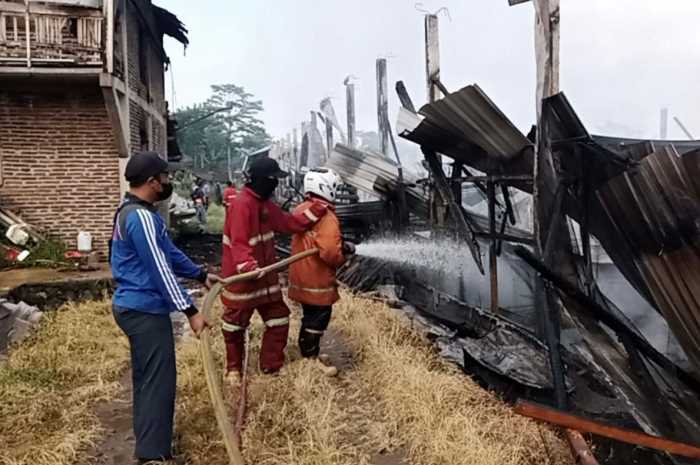 Kandang ayam milik Fandi Nugroho tampak terbakar.