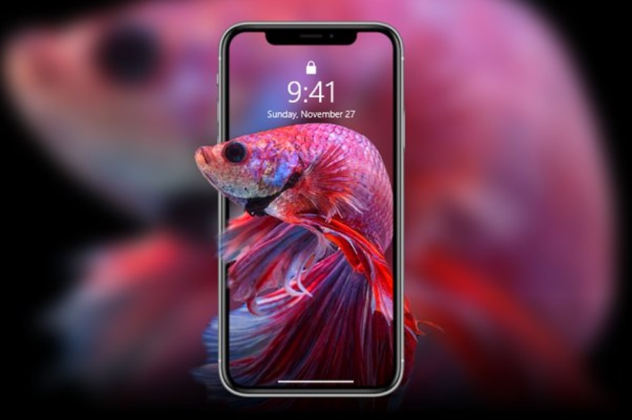 Daftar Situs Penyedia Wallpaper Gratis