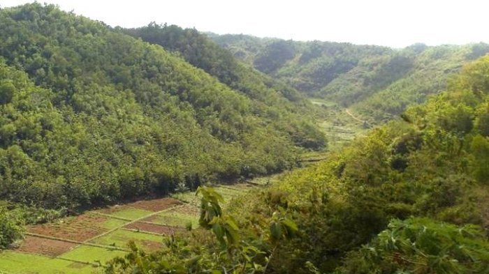 Jejak Bengawan Solo Purba