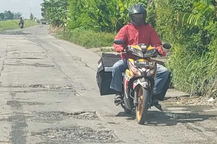 Kondisi jalan ruas Karanganyar-Merak rusak berat. (Wahib&nbsp;Pribadi/Jawa Pos Radar Semarang)