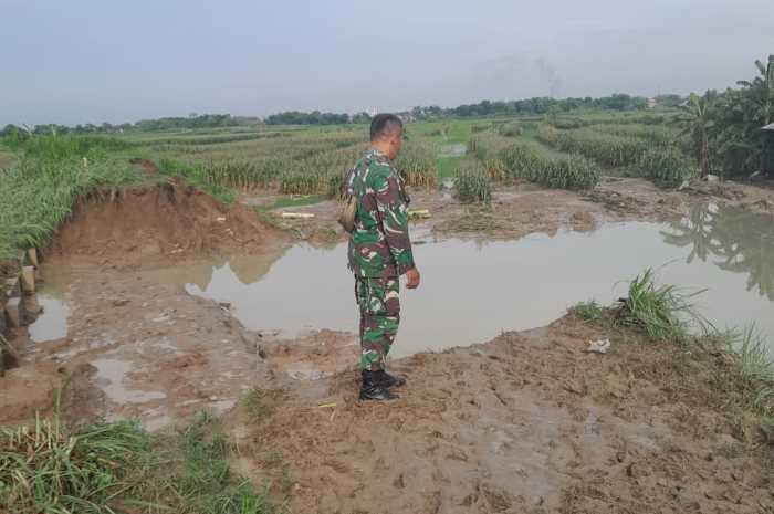 Kondisi tanggul jebol di Desa Sidorejo, Kecamatan Karangawen.&nbsp;(Wahib&nbsp;Pribadi/Jawa Pos Radar Semarang)