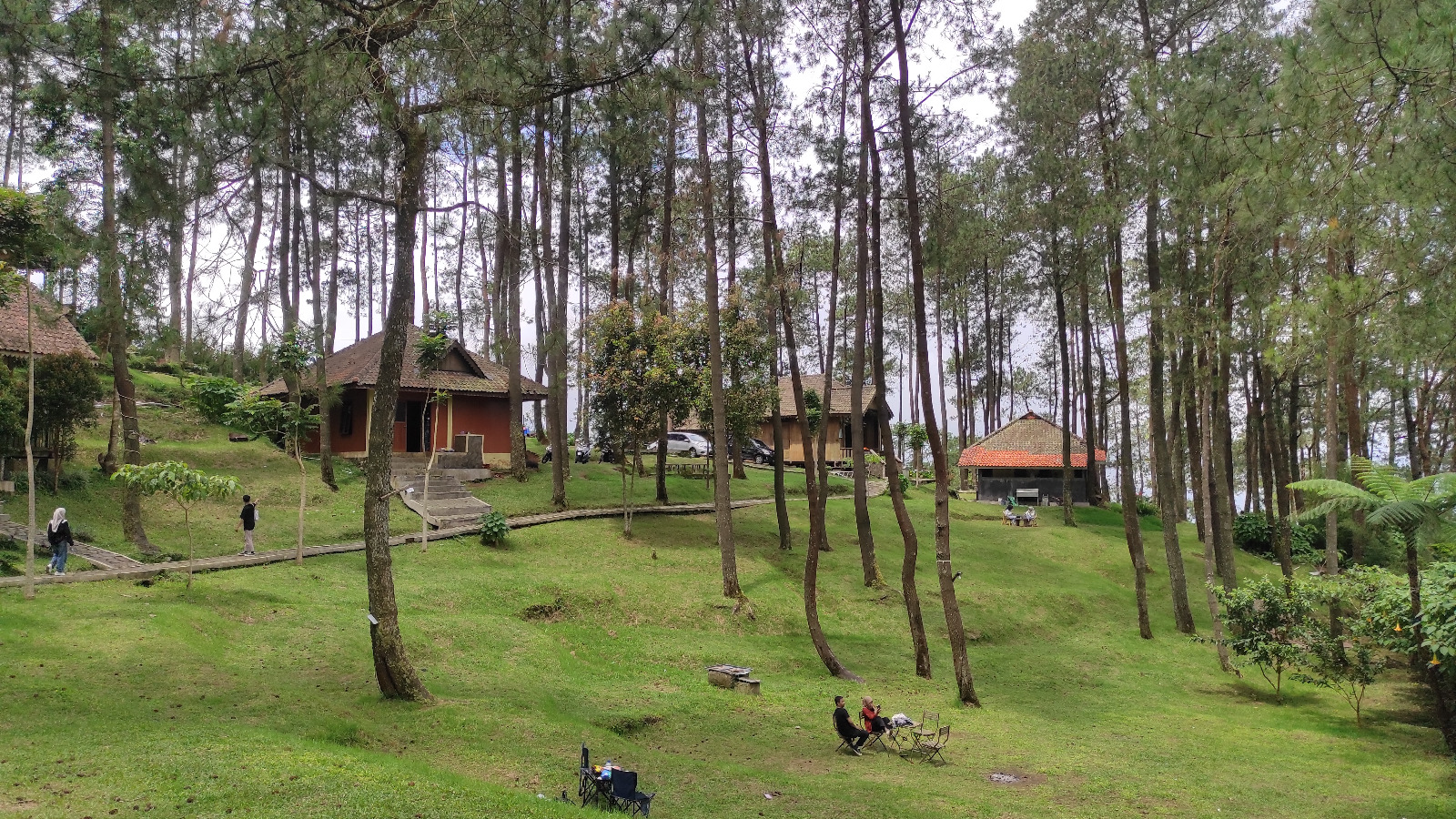 HUTAN PINUS : Wisatawan bisa menikmati keindahan alam dan bisa menginap bareng keluarga di tengah hutan pinus.
