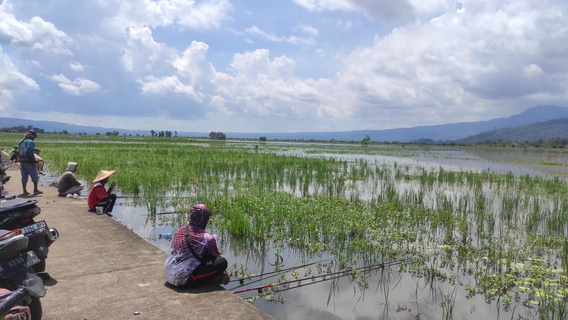 Para pemancing yang sudah mulai memadati dipinggir lahan pertanian