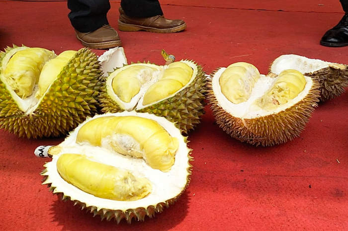Penampakan durian Siboli (pling bawah) yang berhasil memenangkan kontes di Festival Durian Gunungoati 2024. (FIGUR RONGGO WASSALIM/JAWA POS RADAR SEMARANG)