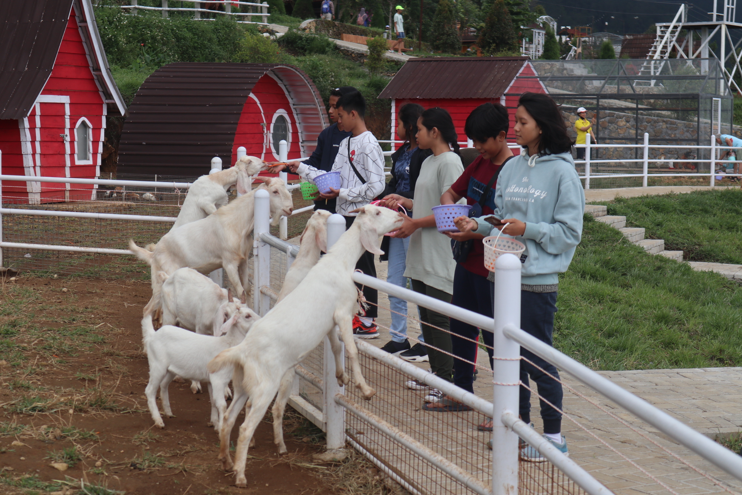 PEMANDANGAN INDAH : Pengunjung bisa menikmati keindahan alam di Little Ranch Sidomukti Kabupaten Semarang