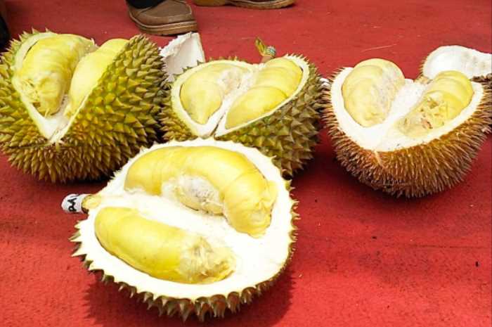 Figur Ronggo Wassalim/Jawa Pos Radar Semarang