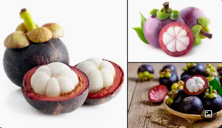 Manfaat Buah Manggis untuk Kesehatan Organ Vital hingga Disebut sebagai Ratu Buah