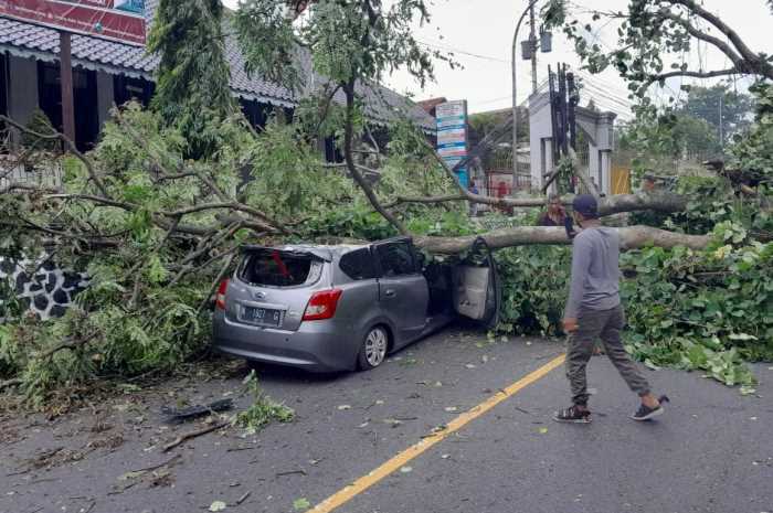 Sebuah pohon tua di tanjakan turunan Jalan Tanah Putih Semarang tumbang.menimpa sebuah mobil Selasa (12/3/2024) sekitar pukul 13.00.