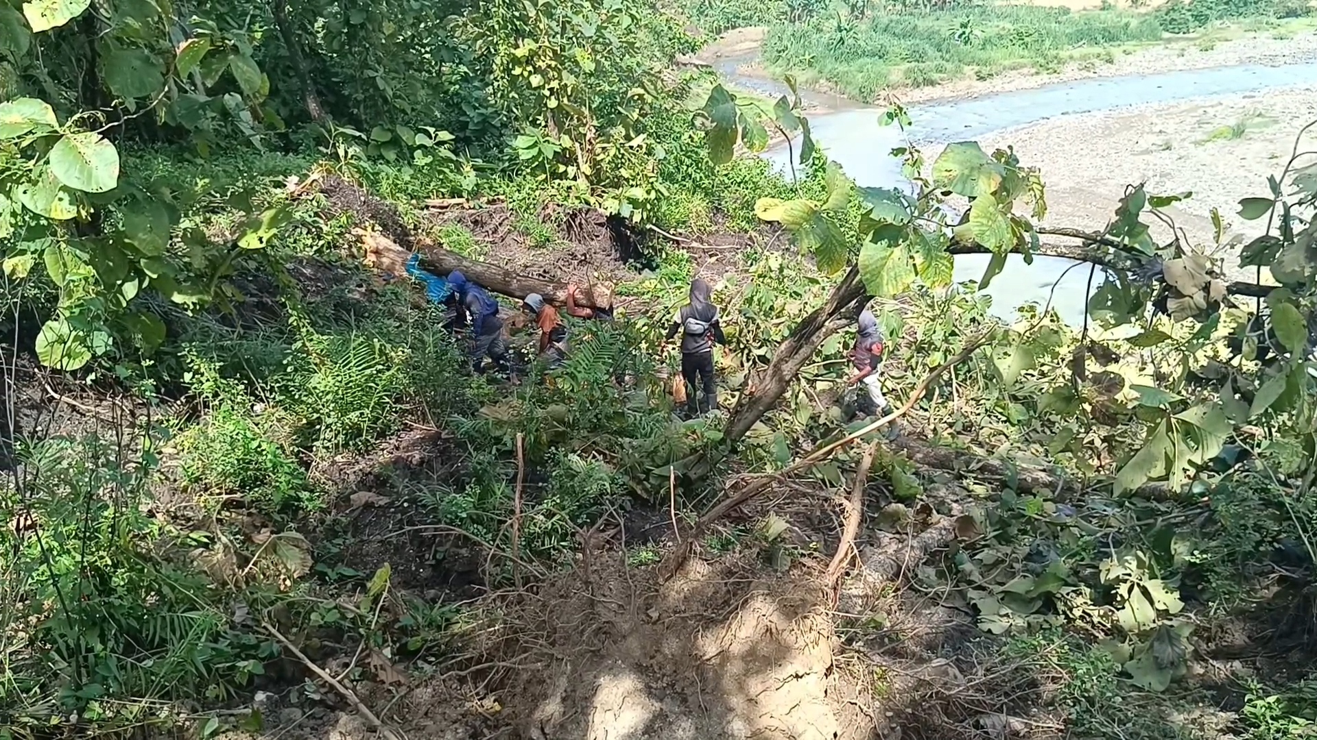Beberapa warga membersihkan beberapa pohon yang tumbang akibat longsor