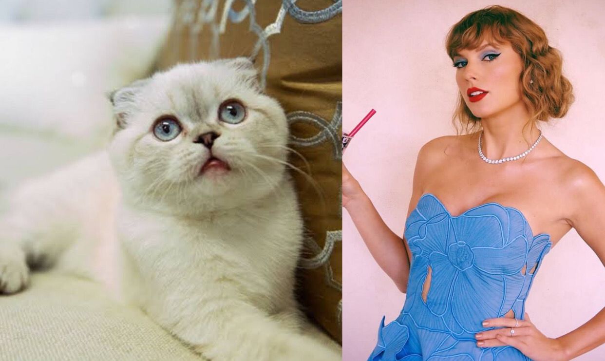 Olivia Benson dan Pemiliknya, Taylor Swift