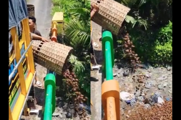 Tangkapan layar video petani salah membuang hasil panennya ke sungai.