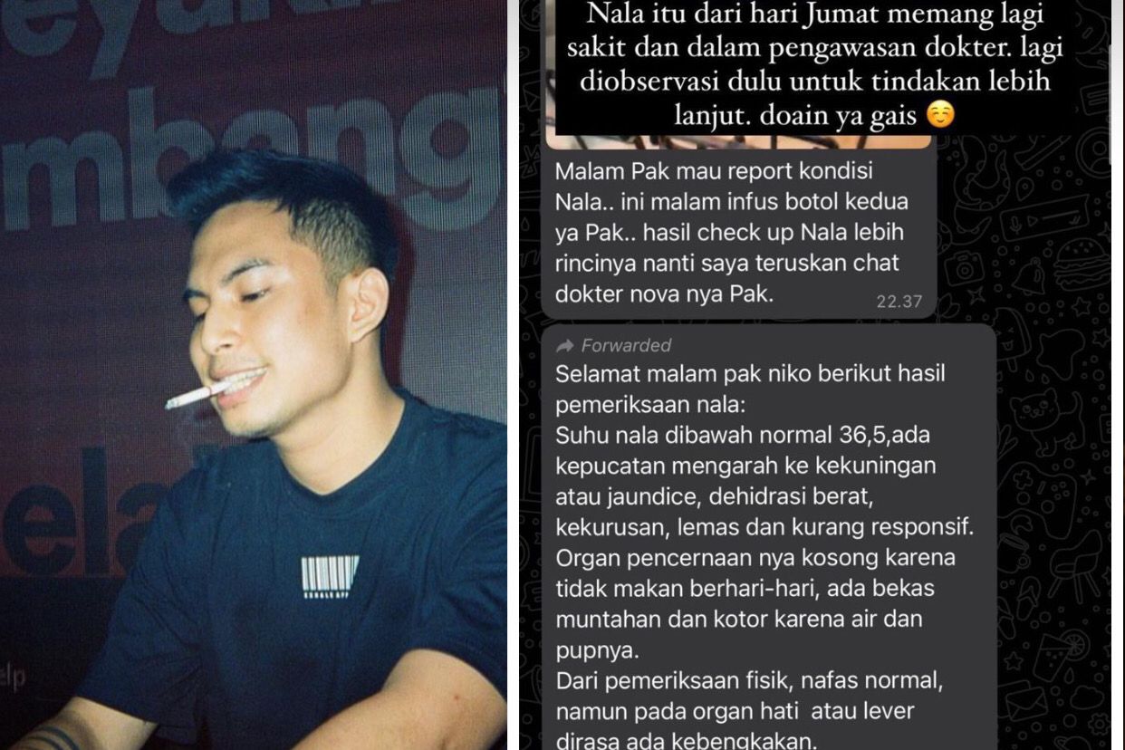 Klarifikasi Okin atas kasus penelantaran kucing berjenis Caracal