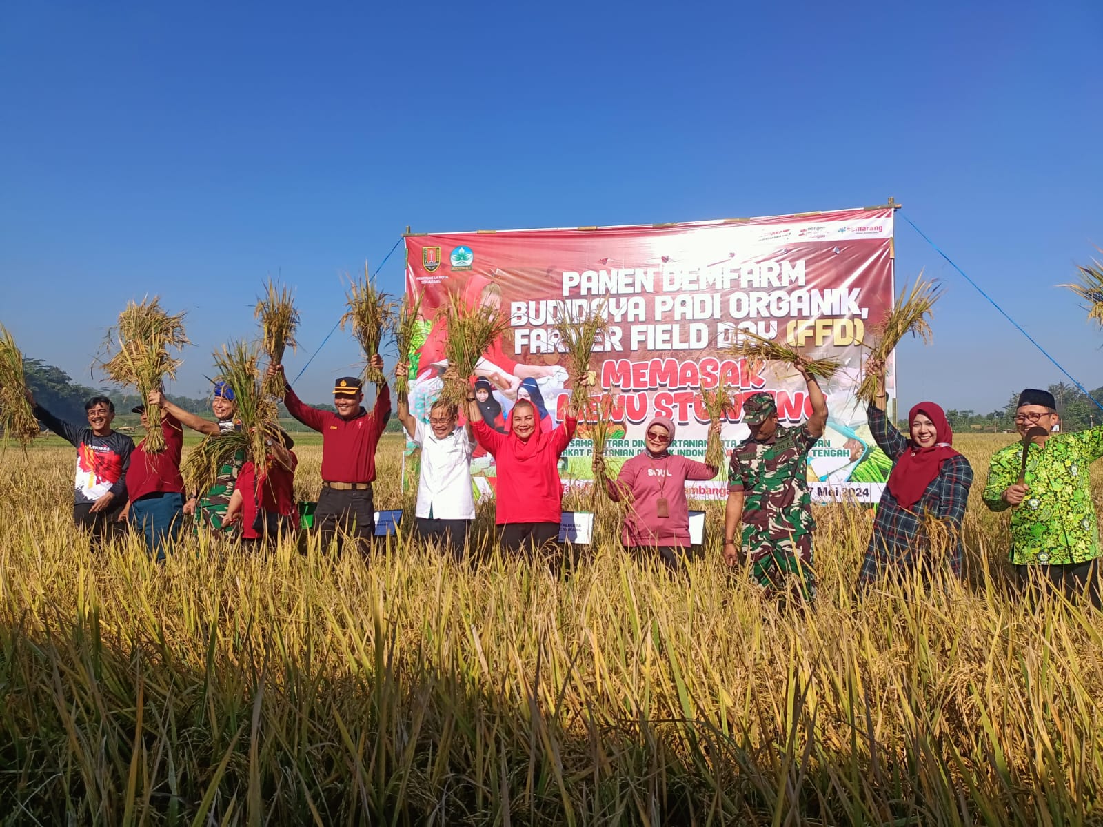 PANEN: Wali Kota Semarang Hevearita G. Rahayu memanen  hasil demfarm budidaya padi organik dan farmer field day di wilayah di area persawahan Tambangan,