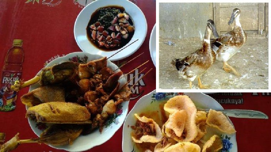 Blengong dan olahannya