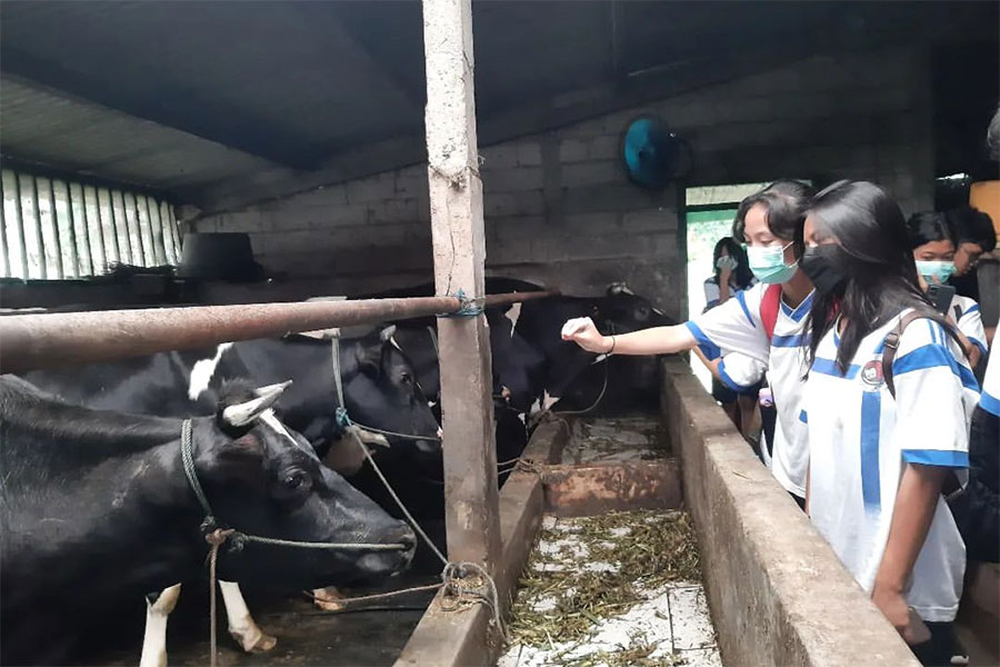 DESA WISATA : Kunjungan edu wisata dari SMP Kristen Satya Wacana Salatiga.