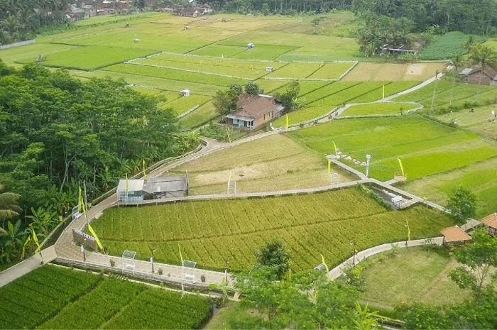 Tampak dari atas, Destinasi wisata alam Tapak Hapsari di Salatiga, hadirkan pemandangan luas dan kesejukan udara pegunungan.