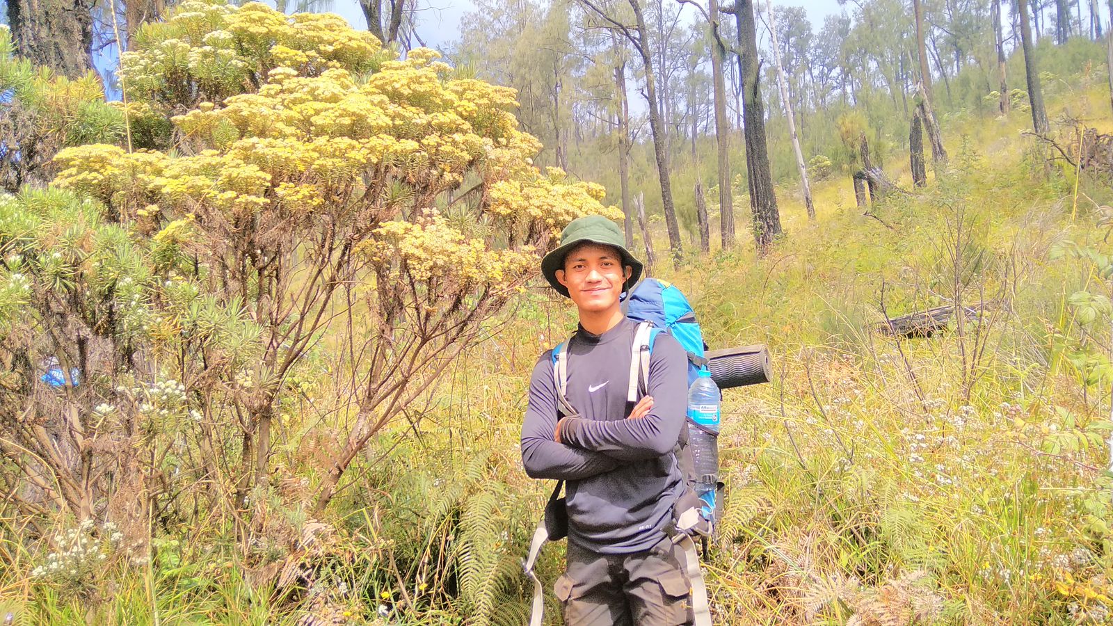 Bunga Edelweis Gunung Lawu sebelum Bulak Peperangan