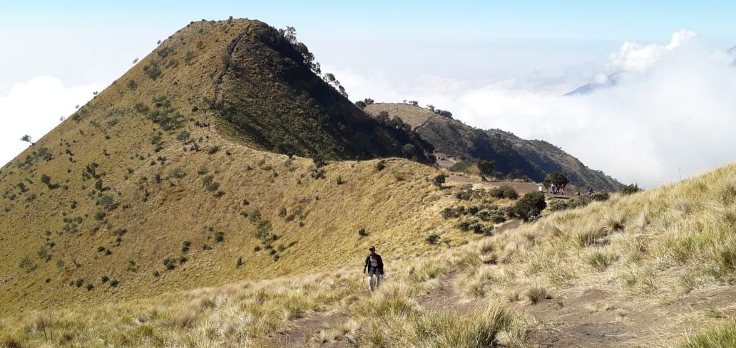 Sabana Gunung Merbabu Via Selo, Boyolali