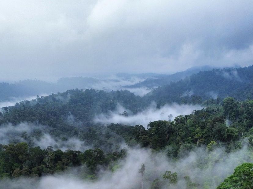 Gunung Bukit Raya masih tertutup kabut