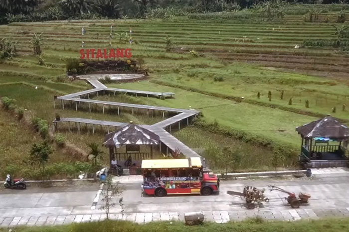 Agrowisata Sitalang Salatiga.
