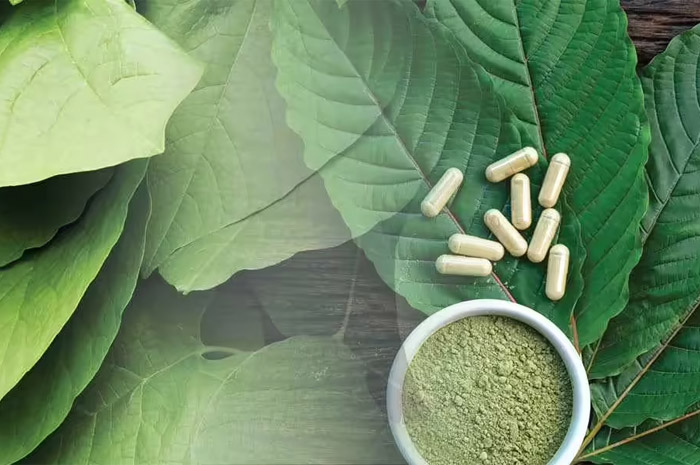 Mengenal lebih dekat apa itu Kratom.