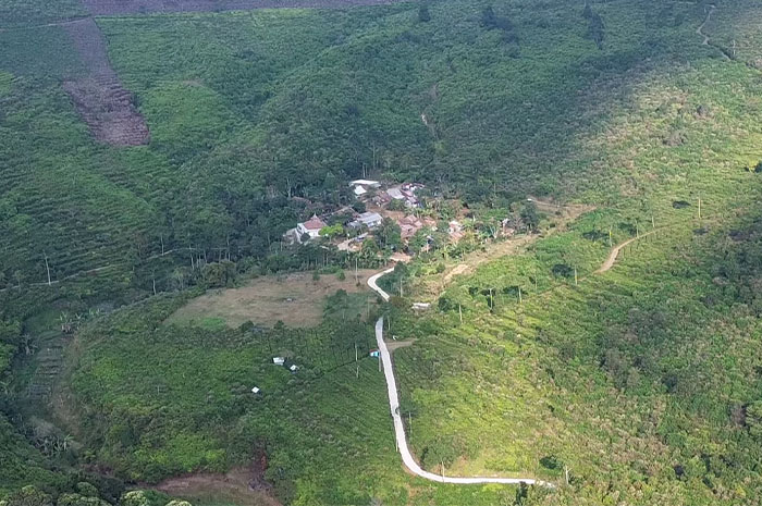 Tampak dari atas pemandangan Desa Candi Promasan di tengah kebun teh, Kabupaten Kendal.