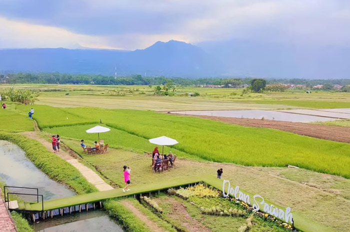 Wisata kuliner Dolan Sawah di Salatiga
