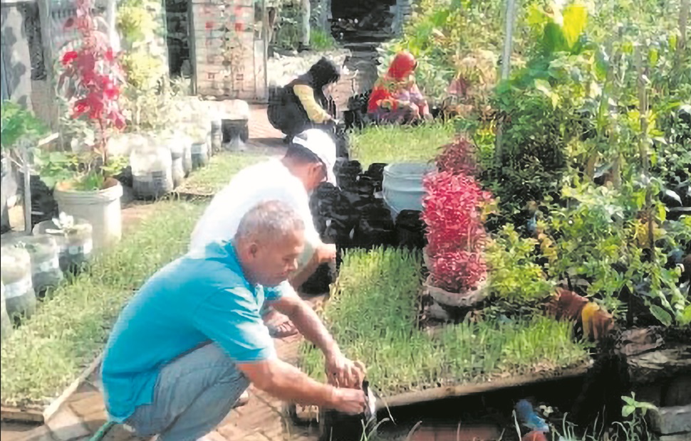 TANAM BAWANG MERAH : Warga RW 08 Kelurahan Pedurungan Tengah menanam bawang merah di kebun Kelompok Tani (KT) Tani Mulyo.