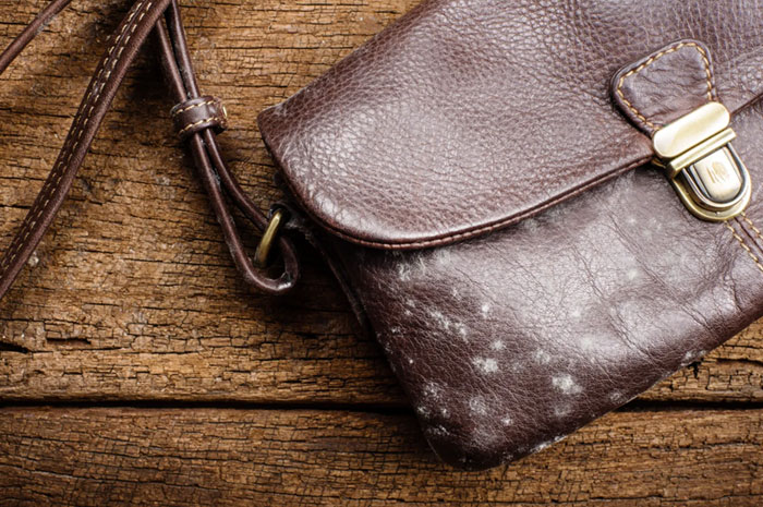 Fashion tas, salah satu kerajinan tangan yang terbuat dari bahan kulit asli dan imitasi.