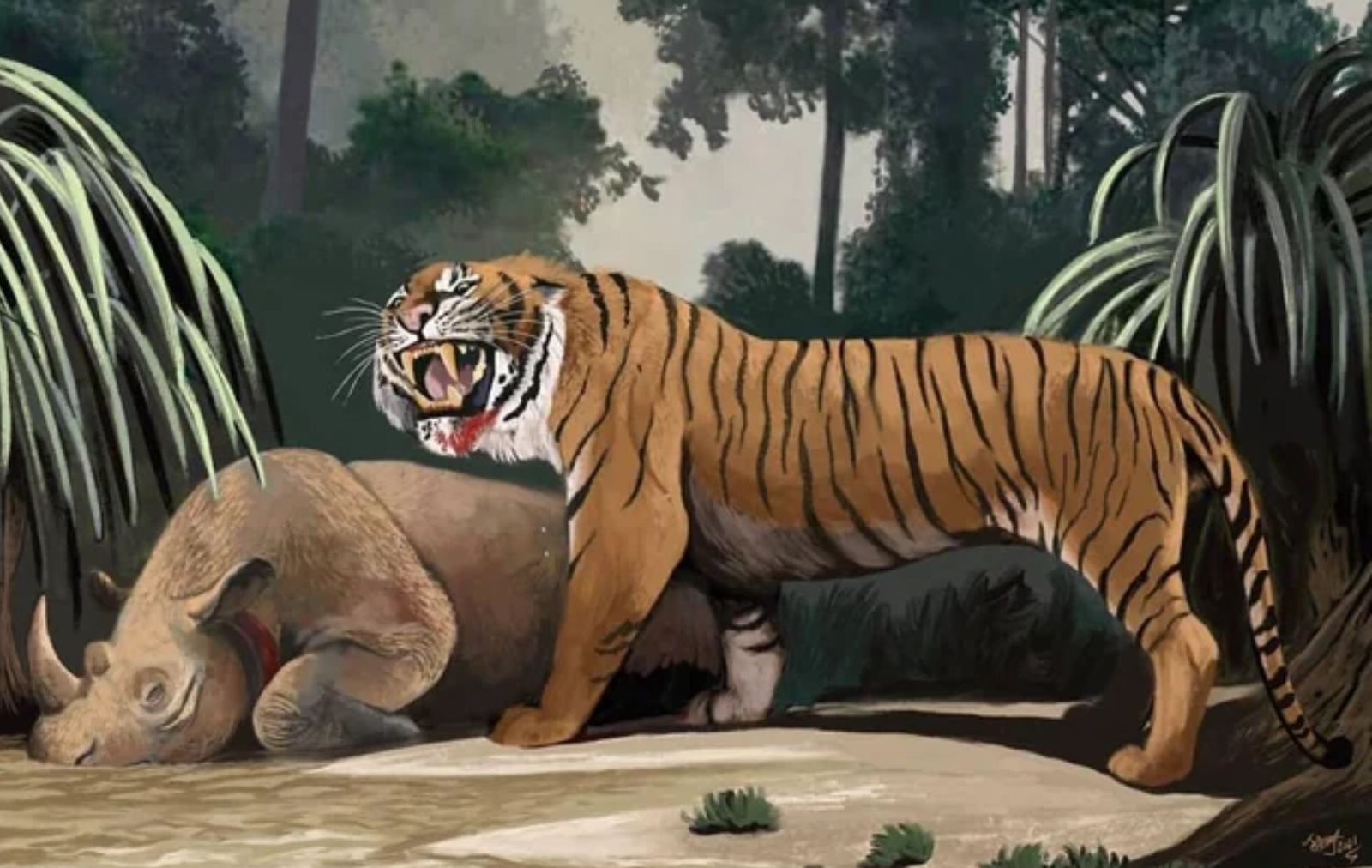 Ilustrasi gambaran Panthera Tigris Soloensis atau Harimau Ngandong