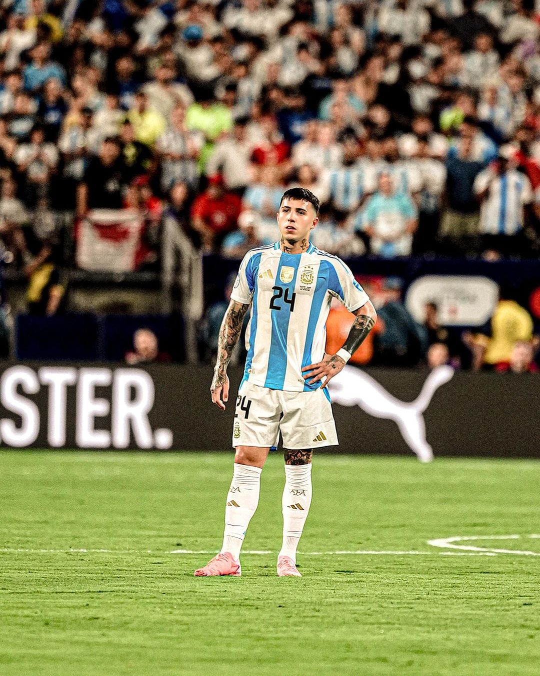 Pemain Argentina, Enzo Fernandez